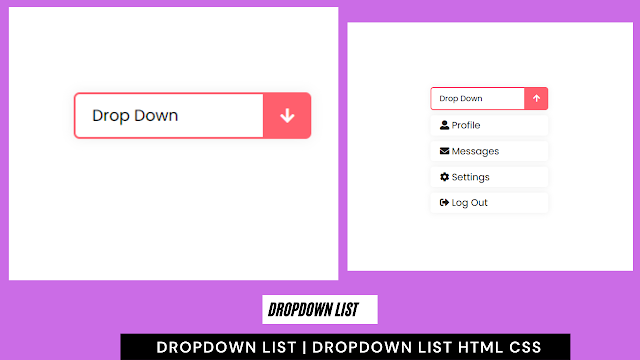 Create Dropdown List Using HTML and CSS