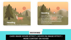 Read more about the article Create Image Hover Effect Using HTML & CSS