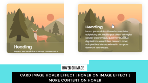Create Image Hover Effect Using HTML & CSS