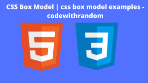 Read more about the article CSS Box Model