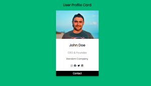 Read more about the article Profile Card Using HTML and CSS