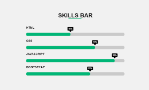 Read more about the article Animated Skills Bar HTML,CSS and jQuery