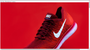 Create Filterable Image Gallery using JavaScript Image Gallery filter Using Javascript
