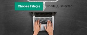 Read more about the article Custom File Upload Button Using HTML,CSS & JavaScript