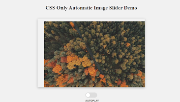 Automatic Multiple Image Slider in HTML CSS