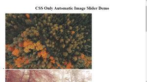 Automatic Multiple Image Slider in HTML CSS