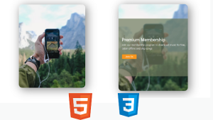 Read more about the article Reveal Card Text On Hover Using HTML and CSS