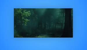 image slider