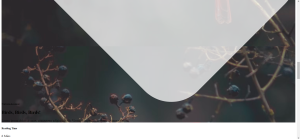 Article/blog HTML Template Page Using HTML and CSS Article/blog HTML Template Page Using HTML and CSS