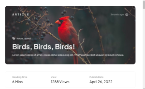 Article/blog HTML Template Page Using HTML and CSS Article/blog HTML Template Page Using HTML and CSS