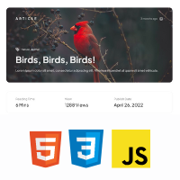 Article/blog HTML Template Page Using HTML and CSS