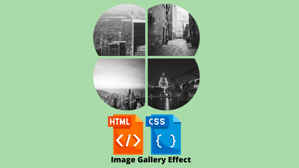 Create Image Gallery Using HTML and CSS (Source Code)