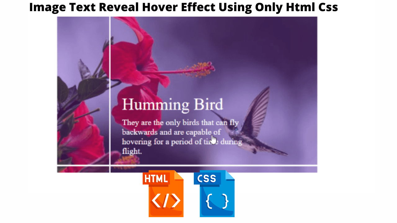 You are currently viewing Image Text Reveal On Hover Effect Using HTML & CSS
