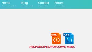 Read more about the article Create Responsive Dropdown Menu Html Css Flexbox(Source Code)