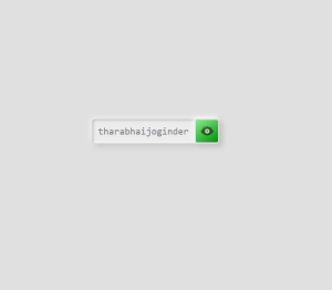 Show Hide Password With Eye Icon Using HTML and JavaScript Show Hide Password