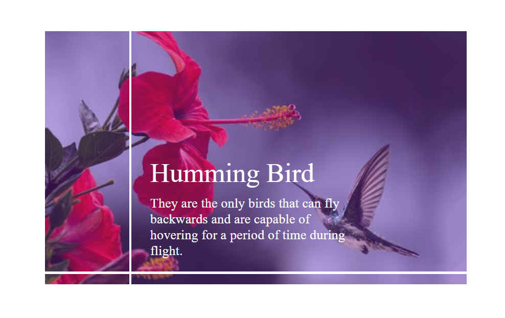 Text Over Image On Hover Using HTML and CSS