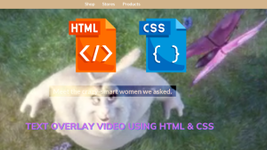 Read more about the article Create Text Overlay on Video Using HTML and CSS
