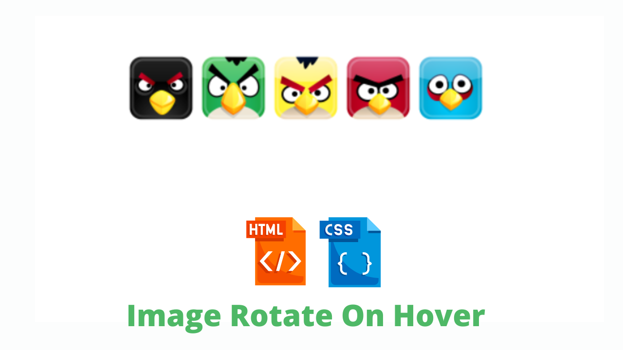 Image Rotate On Hover using HTML And CSS Code Only