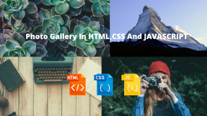 Read more about the article How To Make A Photo Gallery In HTML Code