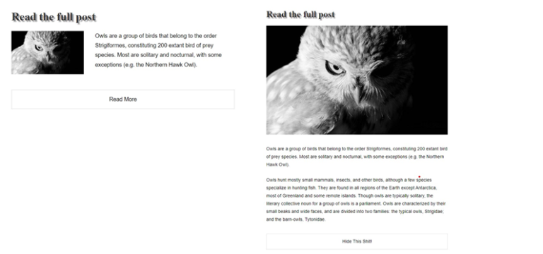 Create a Read More Button using HTML And CSS Only
