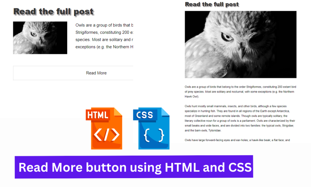 Create a Read More Button using HTML And CSS Only