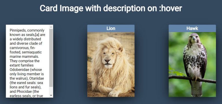 100+ CSS Card Design (Free demo+ code)