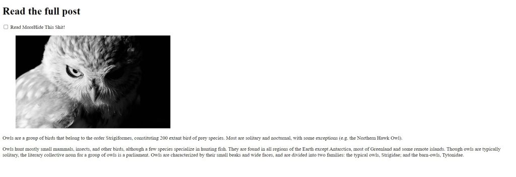 Create a Read More Button using HTML And CSS Only Read More Css Only