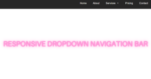 Read more about the article Responsive Dropdown Menu using HTML, CSS & JS