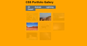 Read more about the article Create a Filter Image Gallery using HTML and CSS
