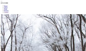 How To Create A Responsive Header Using HTML & CSS