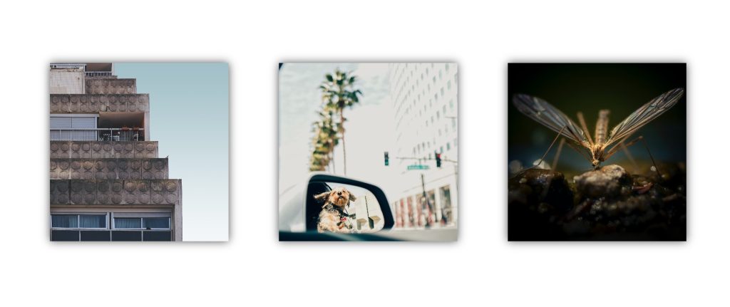 How to Create a LightBox Using HTML & CSS LightBox Using HTML & CSS