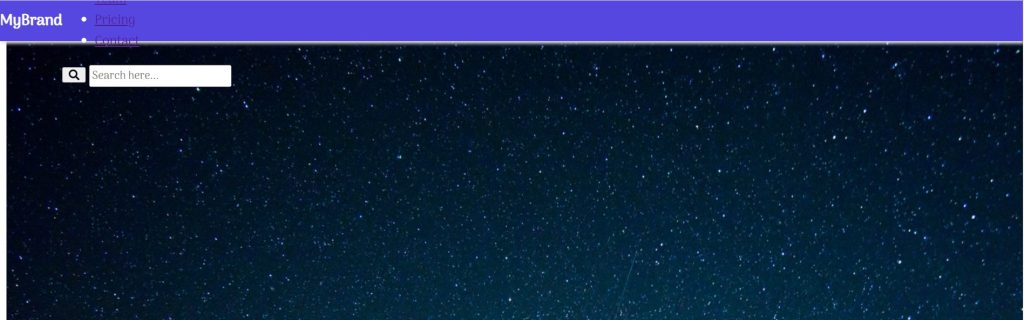 Responsive Navbar With Search Bar Box Using HTML & CSS