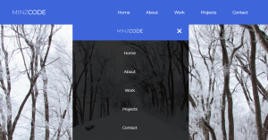 Read more about the article How To Create A Responsive Header Using HTML & CSS