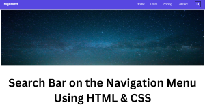 Read more about the article Search Bar on the Navigation Menu Using HTML & CSS