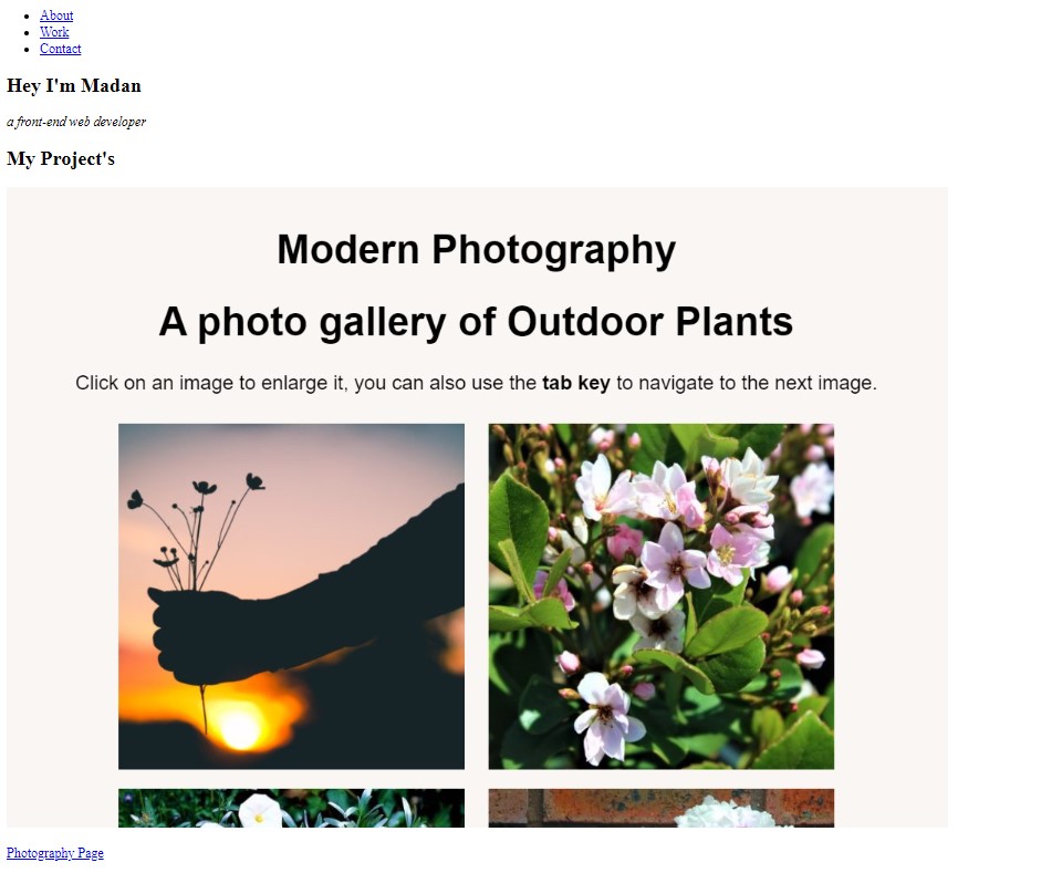 Portfolio Website using HTML