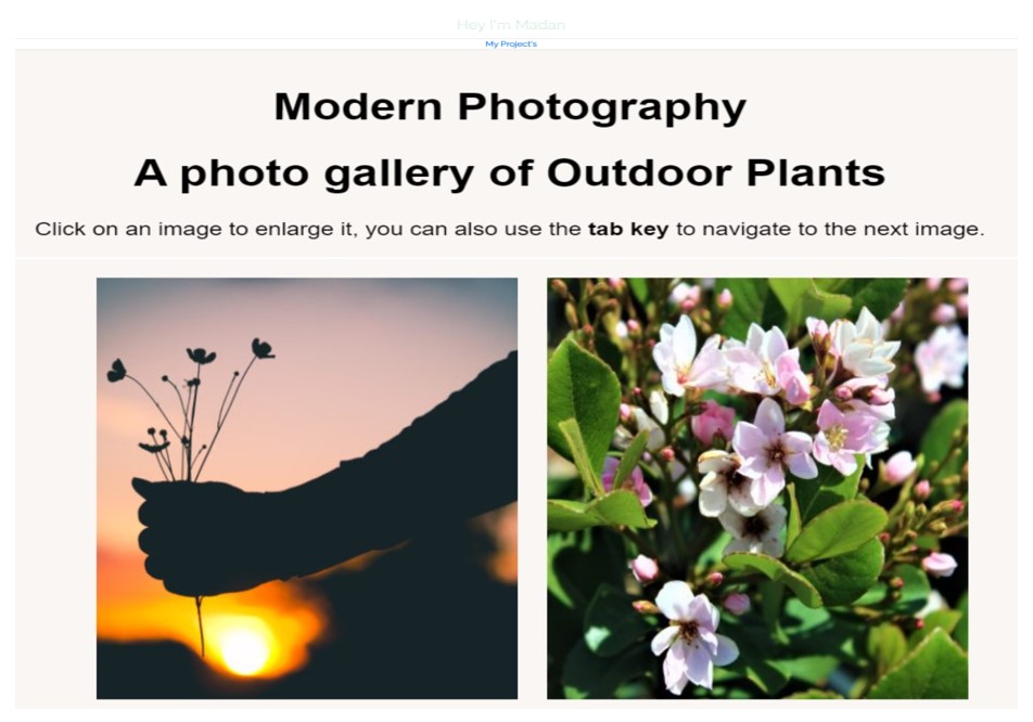 Portfolio Website using CSS 