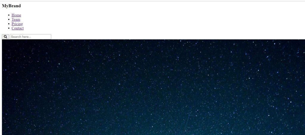 Search Bar on the Navigation Menu Using HTML & CSS