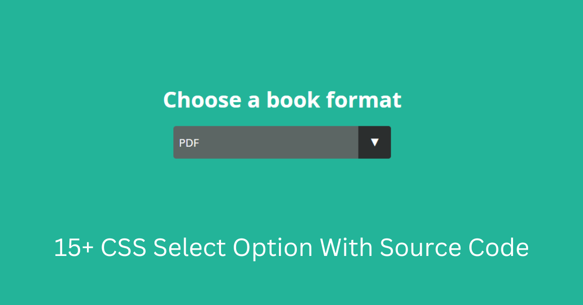 CSS Select Option With Source Code