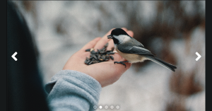 Read more about the article 18 CSS Slider (Examples + Code)