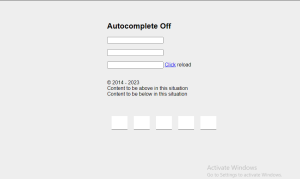  OTP Input Fields With JavaScript