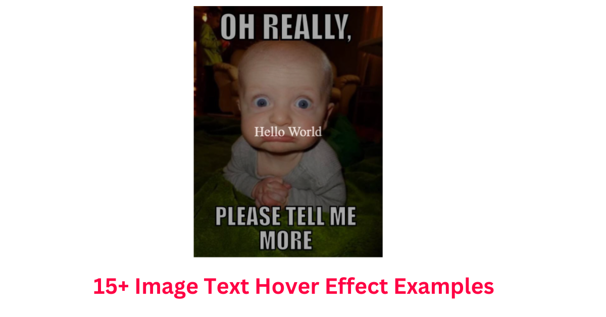 Image Text Hover Effect Examples