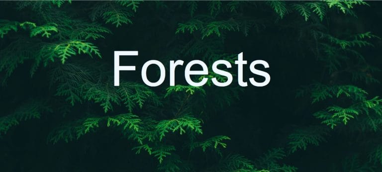 How to Create Parallax Effect Website Using HTML & CSS