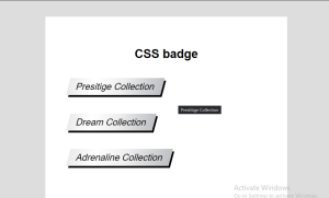 15+ CSS Badges Simple & Unique Designs (Demo + Code)