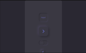  CSS Neuromorphic Designs