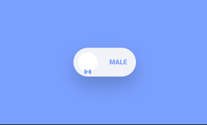 15+ jQuery Toggle Switches