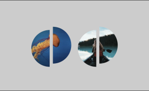 15+ Spotlight Effects With CSS