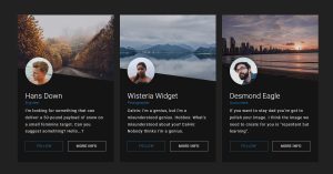 Read more about the article Best 15+ CSS Profile Card Designs