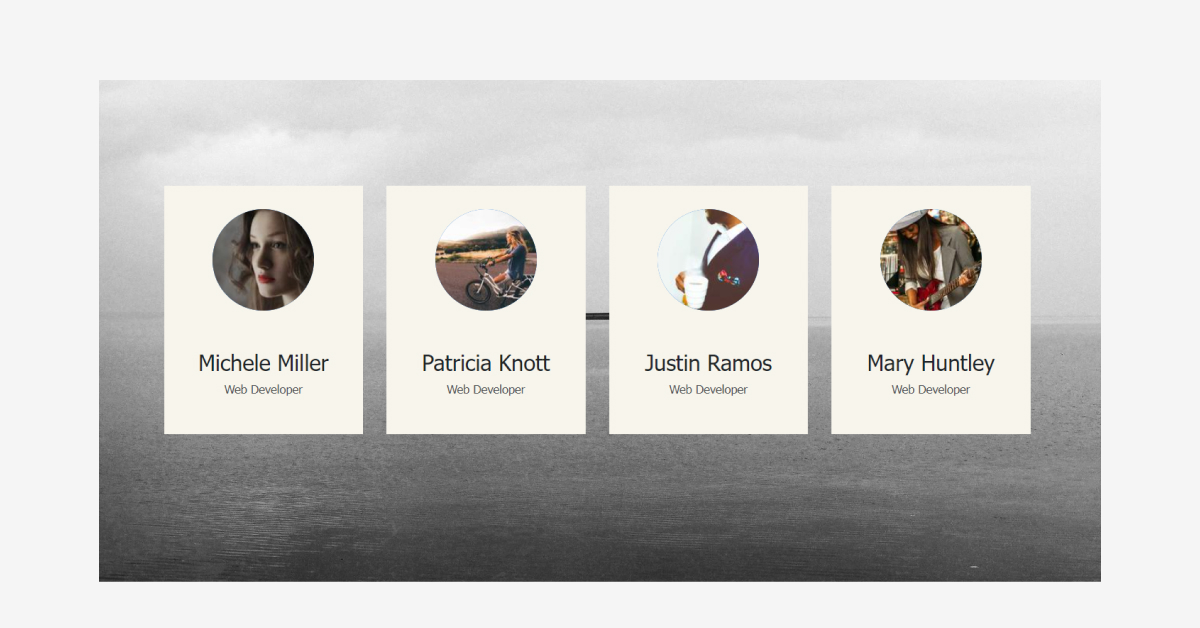 20+ CSS Profile Card Designs (2024 Update)