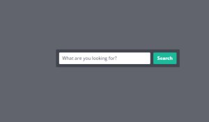 27 Search Bar CSS