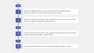 23 CSS Timelines
